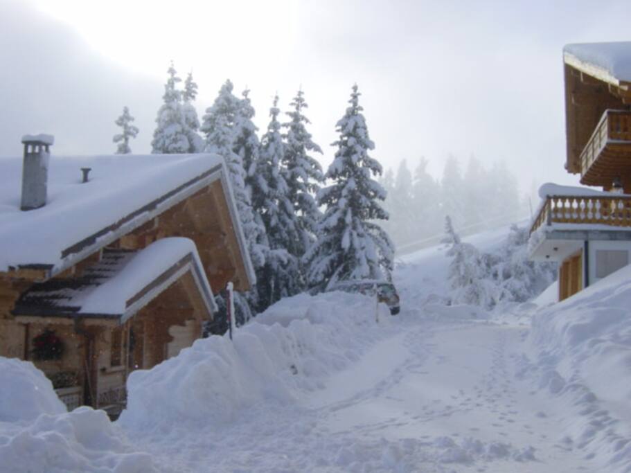 Parking and connection to the piste behind the trees.