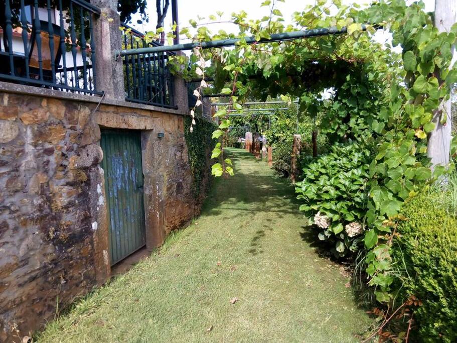 Jardin Inferior