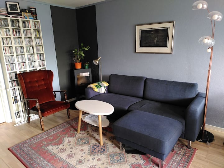 Koselig Og Rimelig Leilighet! - Oslo