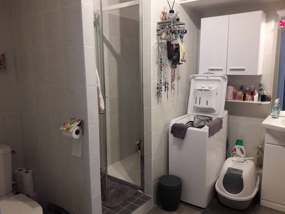 Salle de bain avec wc