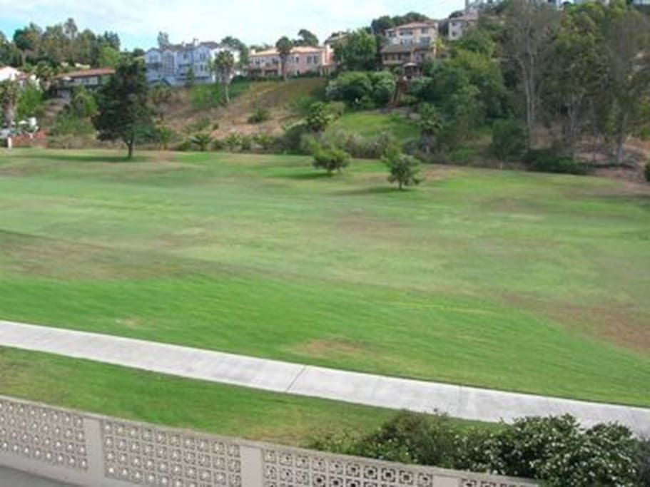 View from the living room