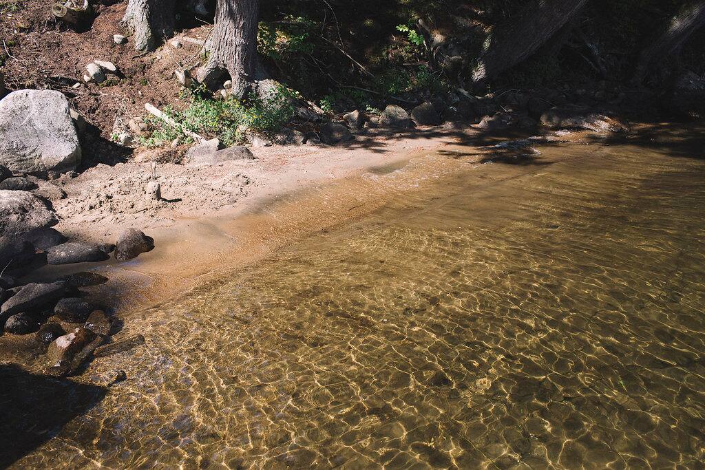 Sandy swimming