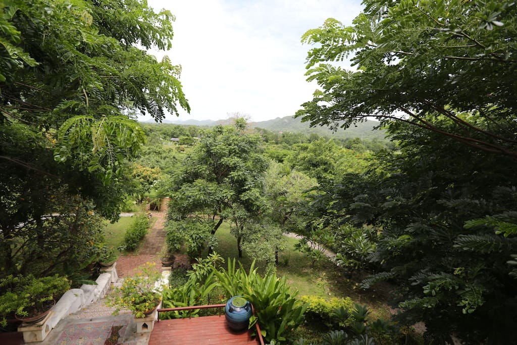Farm view from 3rd floor balcony