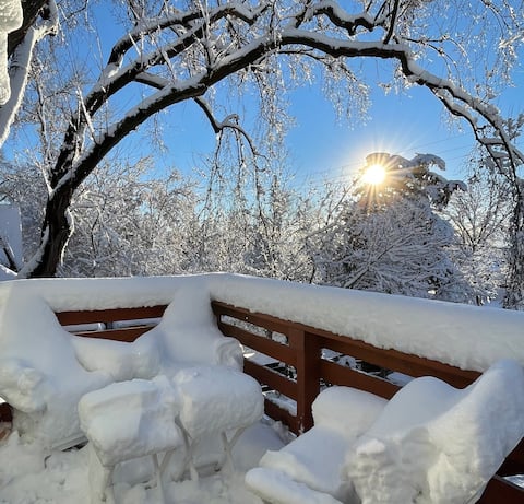 Top performing Airbnb: SugarShack4 in Salt Lake City
