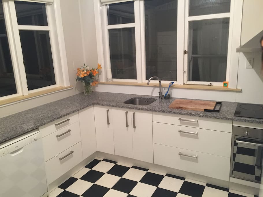 Newly renovated kitchen