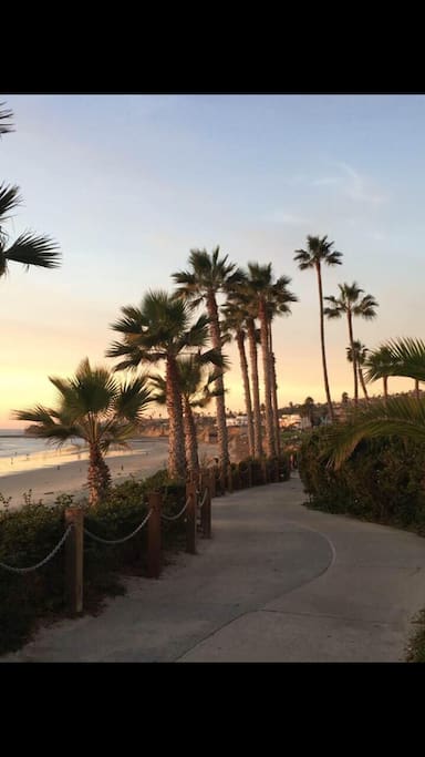 there's plenty of paths for those of you looking to jog or ride some beach cruisers.