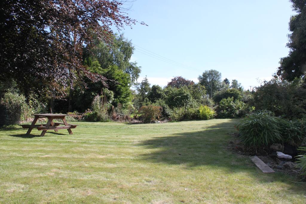 Lawn with picnic table