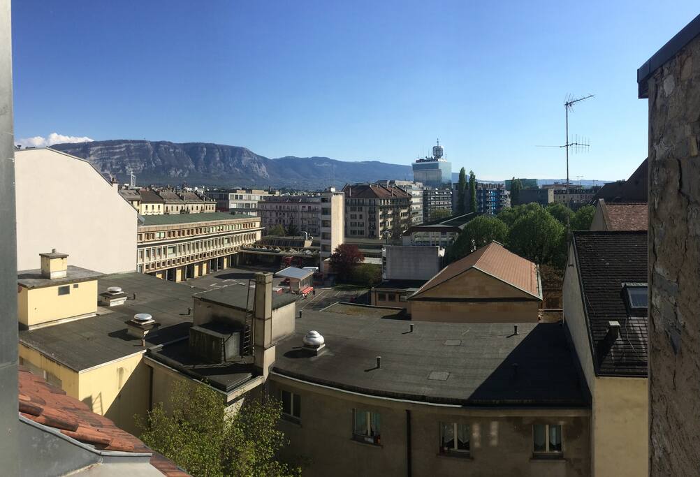 View from the bedroom