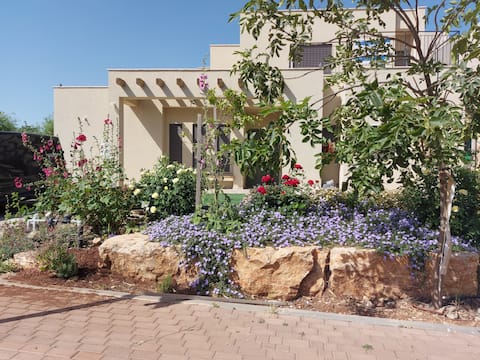 Charming Galilee Villa with pool (Kosher)