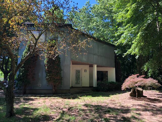 The Little Funky Treehouse