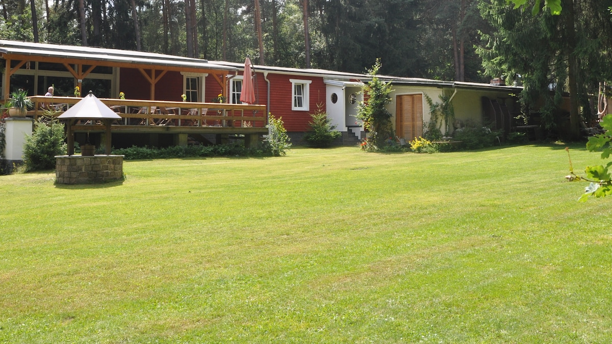 A spacious green lawn is framed by a collection of charming buildings, including wooden decks and colorful exteriors. A decorative stone well is situated in the foreground, and lush trees provide natural shade in the background.