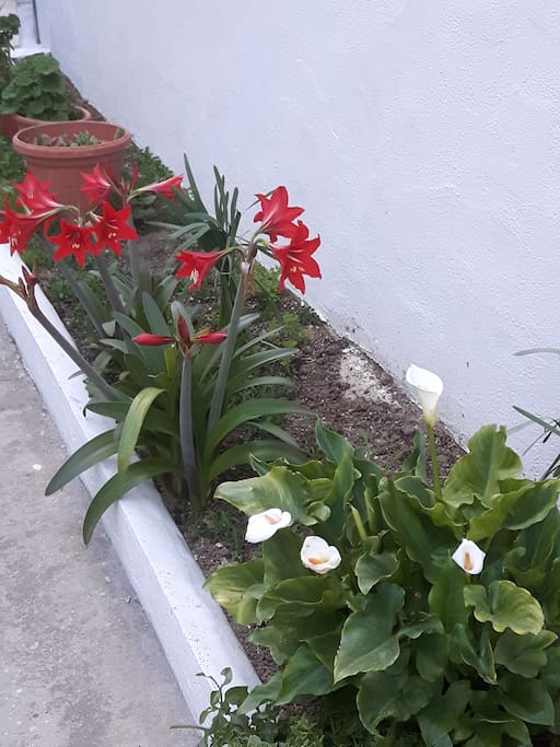 Il nostro giardino