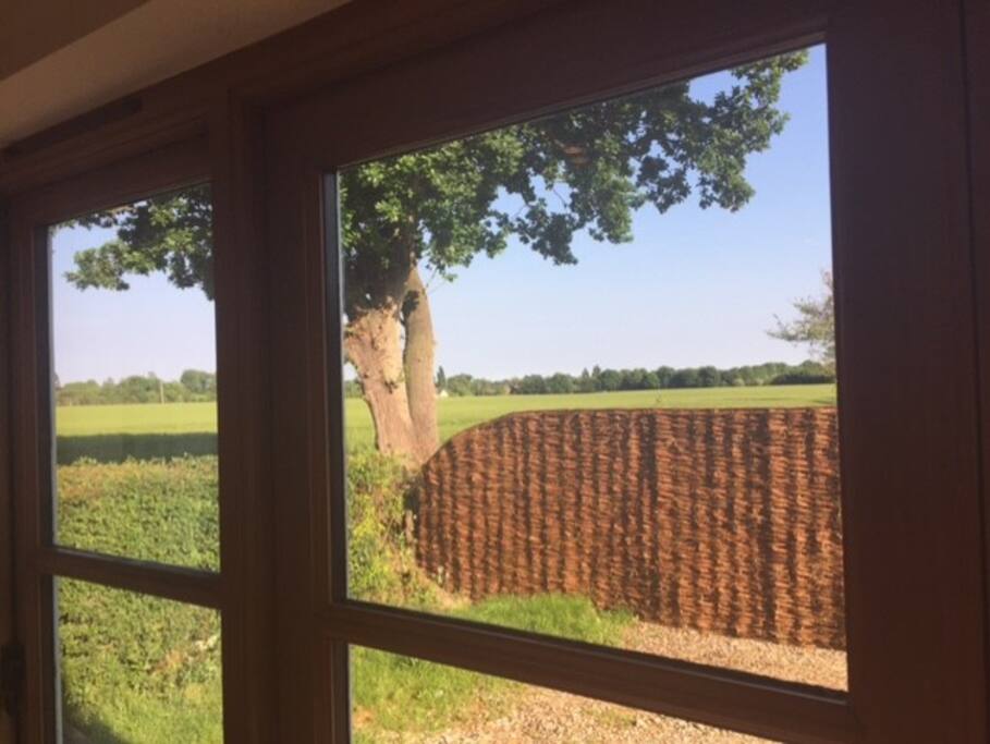 View from door, parking space