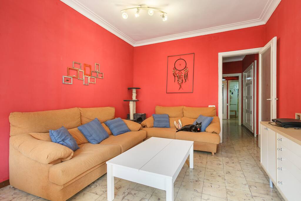 livingroom (shared)