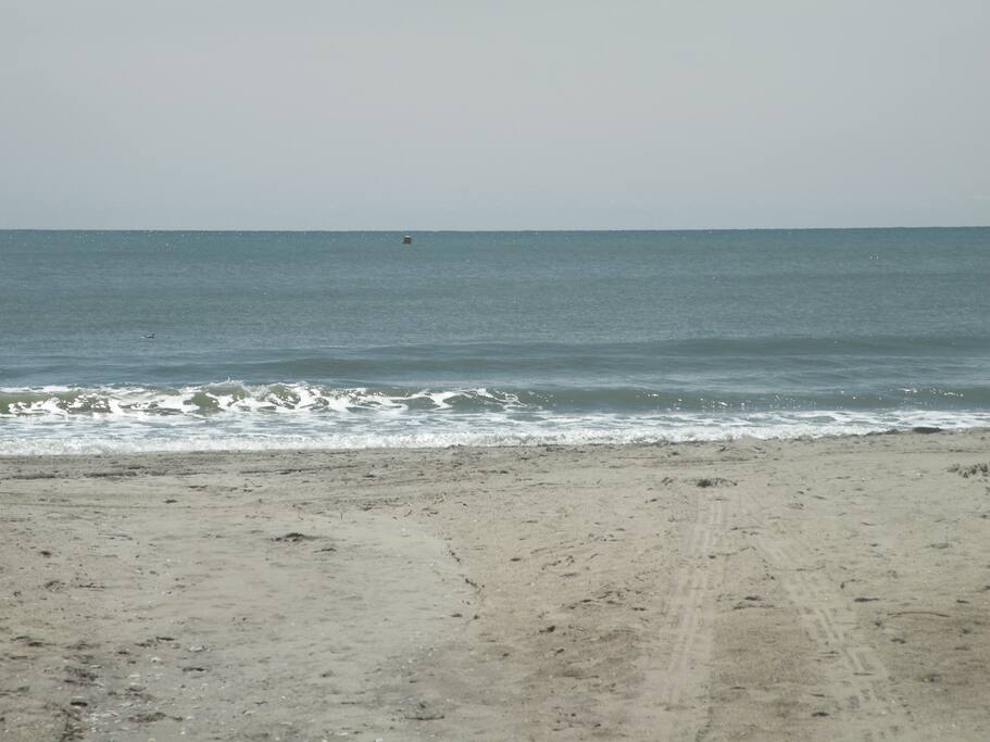 This is the beach access area across the street from the buiding.