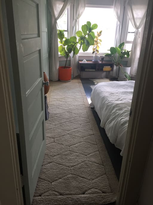 A ton of natural light in my bedroom. Great room for afternoon naps!