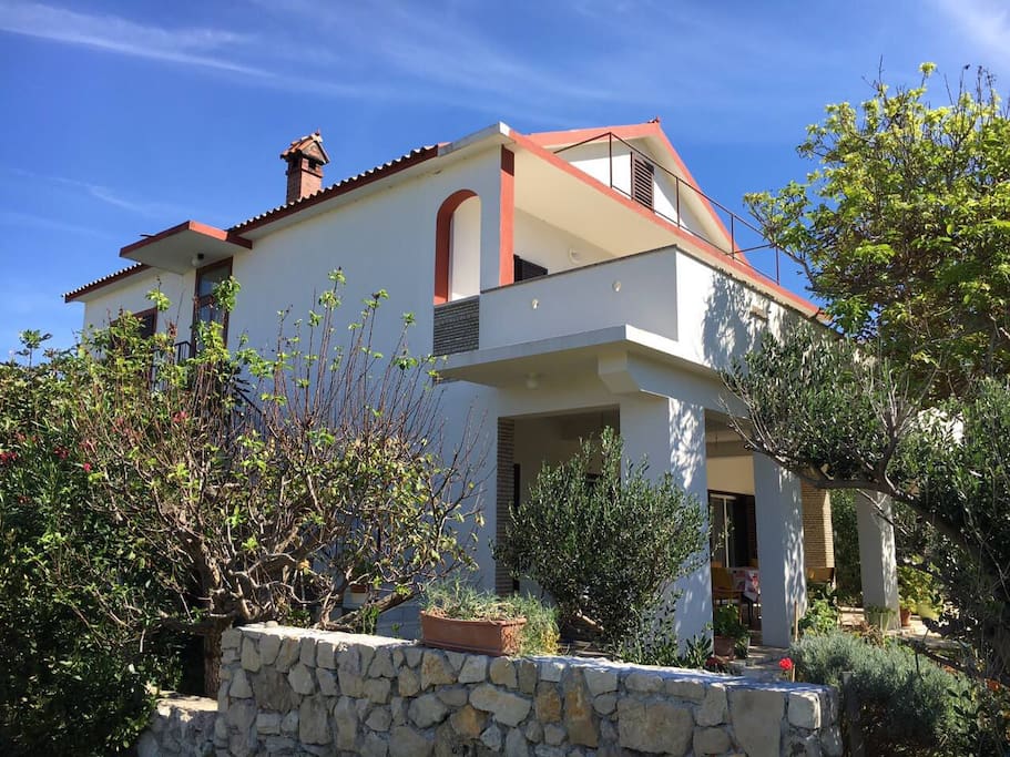HOUSE VIEW