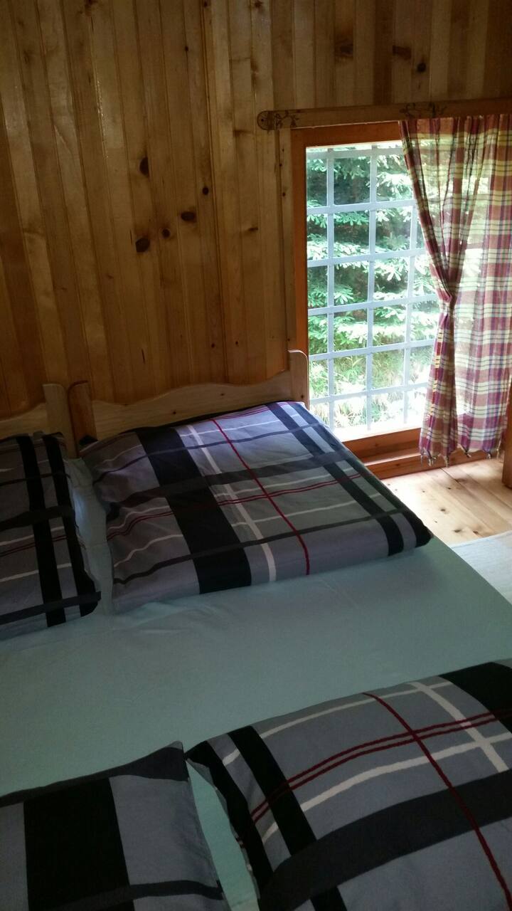 ห้องนอน 1 วิวต้นสน