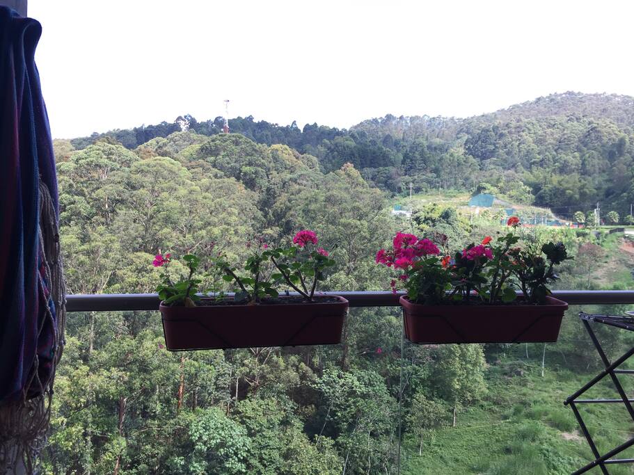 Great view, with hamaca for reading