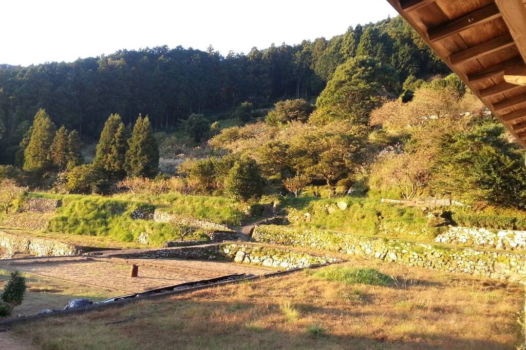 部屋からの眺め、里山が広がります