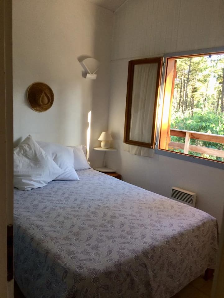 Მთავარი საძინებელი /მთავარი ოთახი