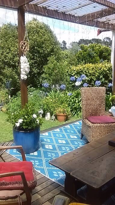 Our sunny back deck