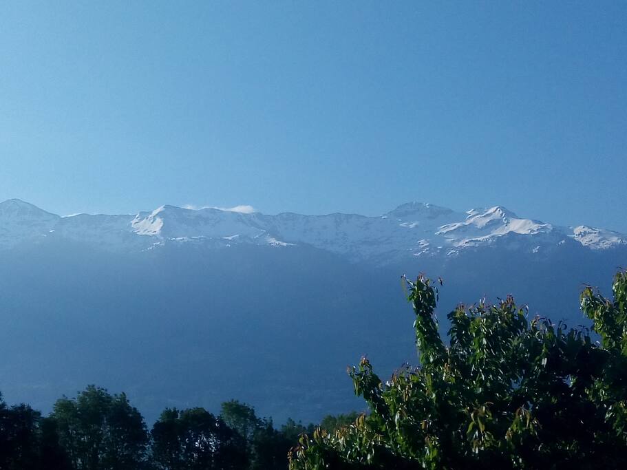 Panorama matinal et printanier depuis votre terrasse privative