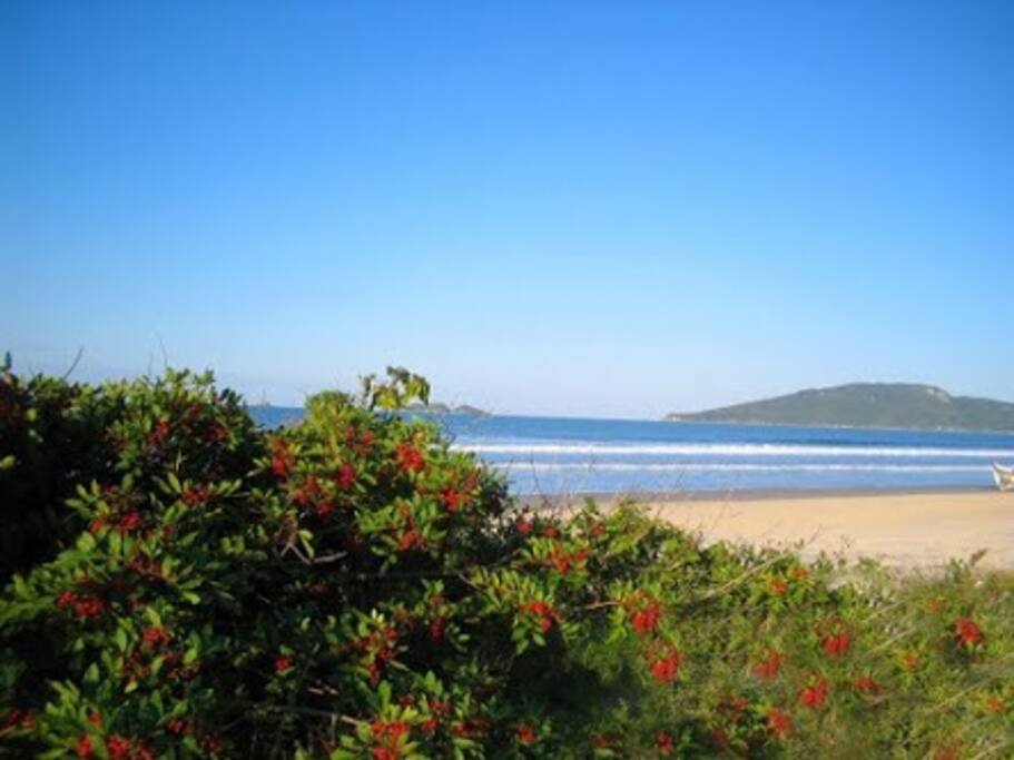 Praia dos ingleses