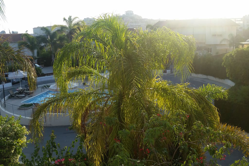The view out of the window in the room. As you can see, there is a communal pool available. It works from May until mid-September.