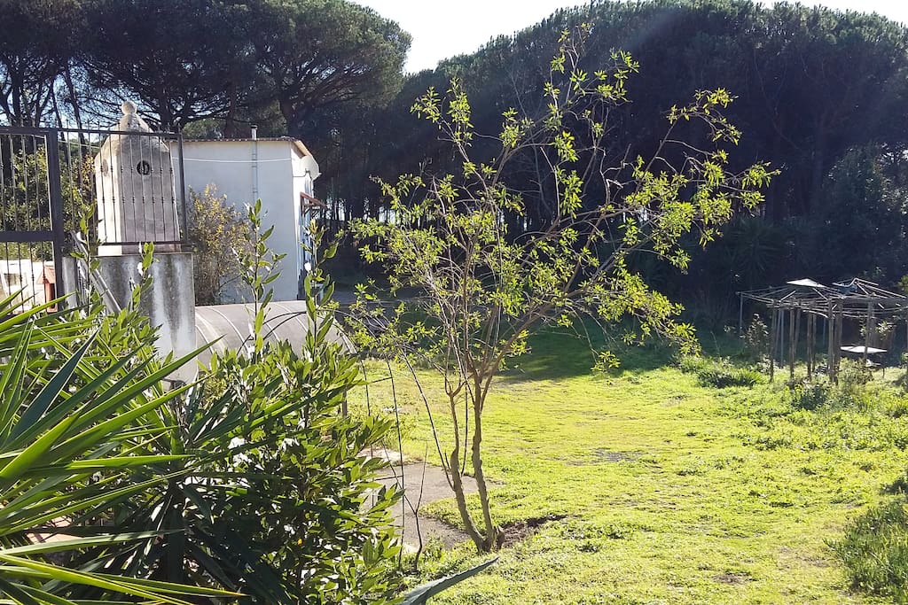 Casali e giardino