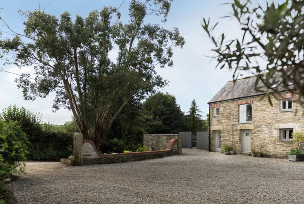 Beautifully planted courtyard.