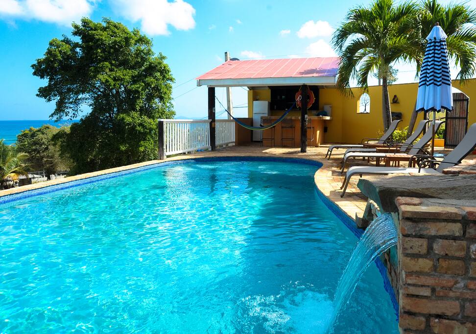 When the horses drink from the pool, this is their view.