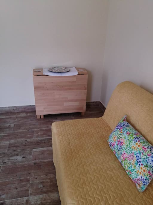 Living room/sofa bed