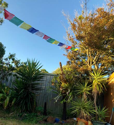 Light-footprint Hippy Haven - SINGLE