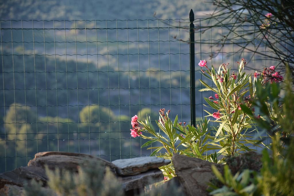 Giardino / Garden / Garten