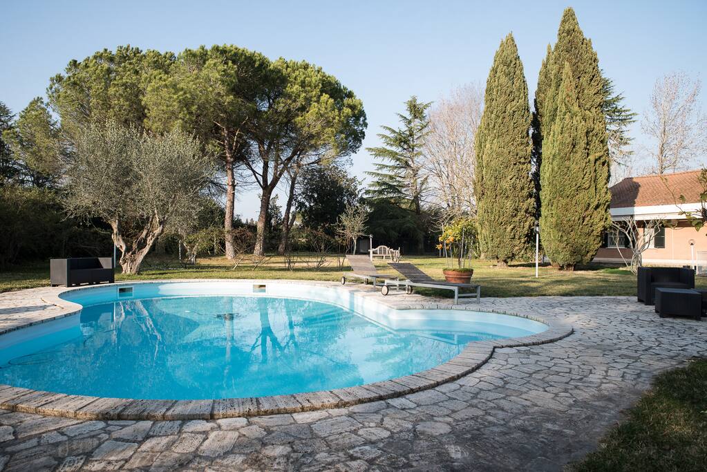 swimming pool and garden