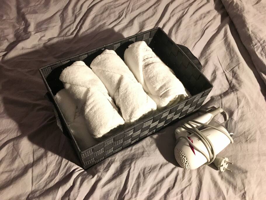 Towel & Hair Dryer