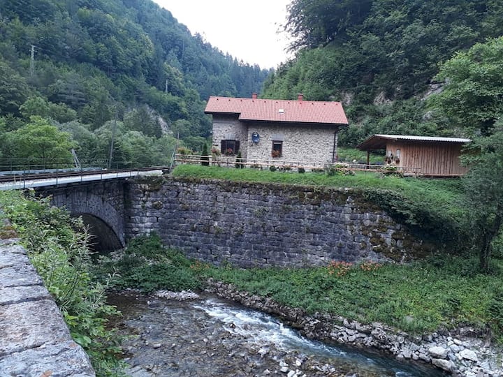 Apartment Guardian Airbnb