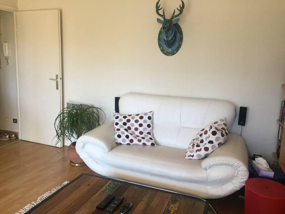 Salon