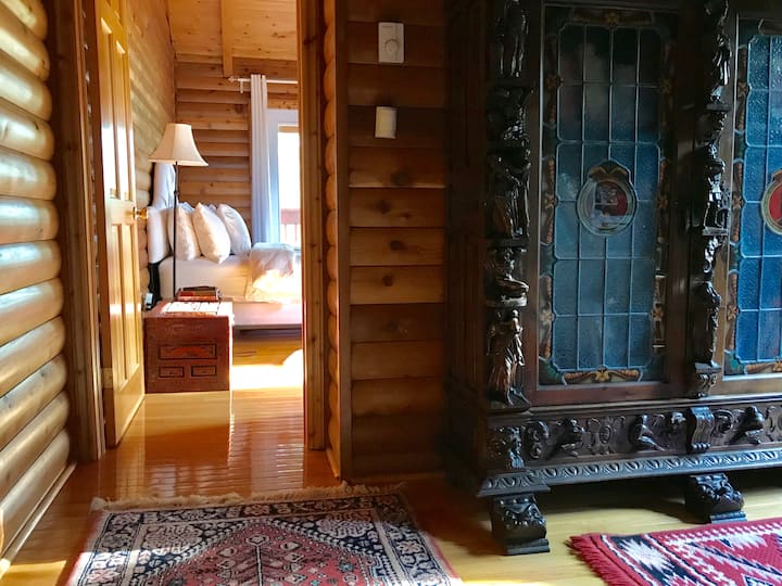 房客可以在图书馆里拥抱和阅读，欣赏其中一间明亮的客房。 图书馆有1000多个标题可供浏览。