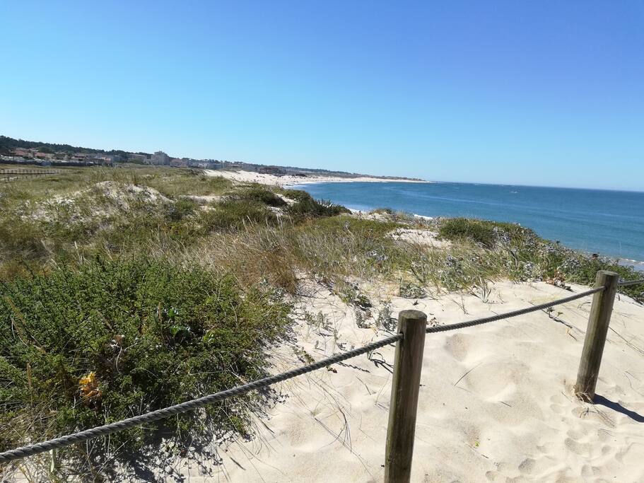 Beach surroundings
