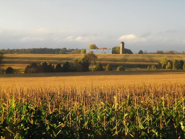 Farmscape B&B