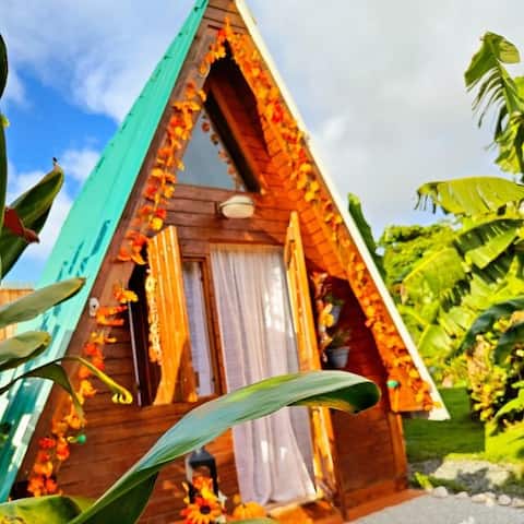 Successful Airbnb property: Salida Escondida La Barraca _Among trees in Isabela