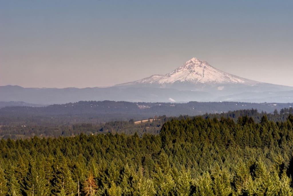 View of Mt. Hood
