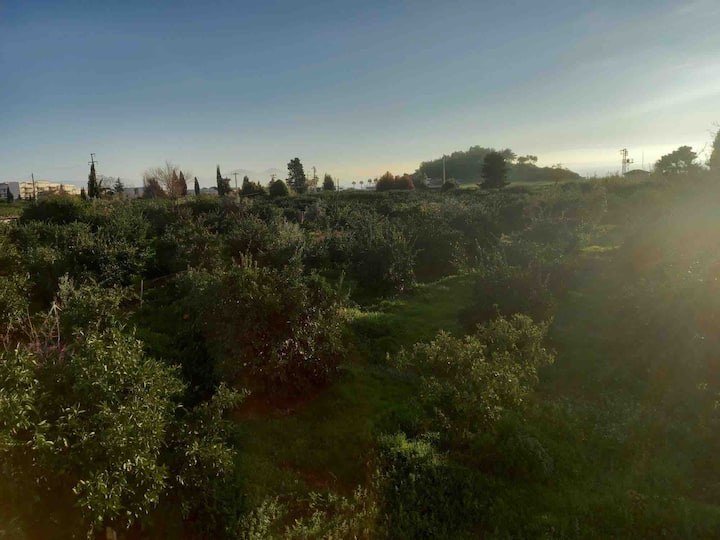 ÖZderede Mandalina Bahçesinde Villa Avokado - Aydın