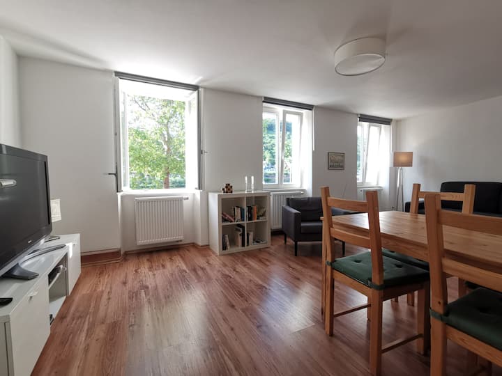 Deluxe Apartment Heidelberg city centre Apartments for Rent in Heidelberg, BadenWürttemberg