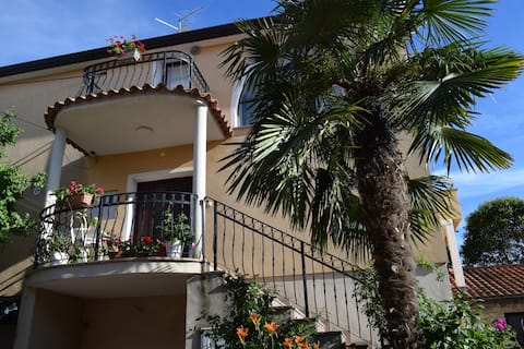 Popular Airbnb listing: Studio apartment Mia in Antenal