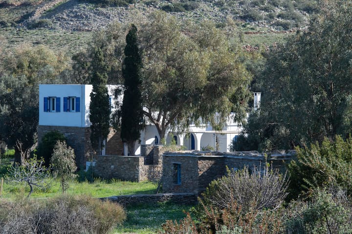 Fabulous Family Beach House