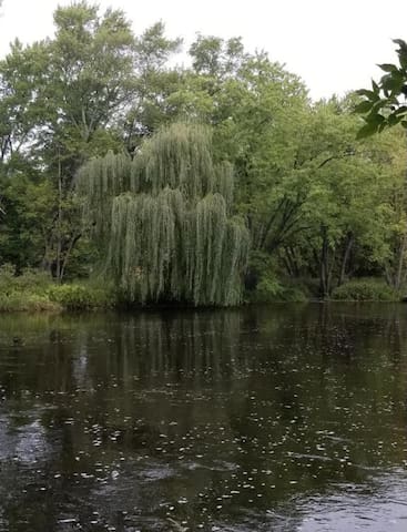 Cozy Copper Canyon Retreat