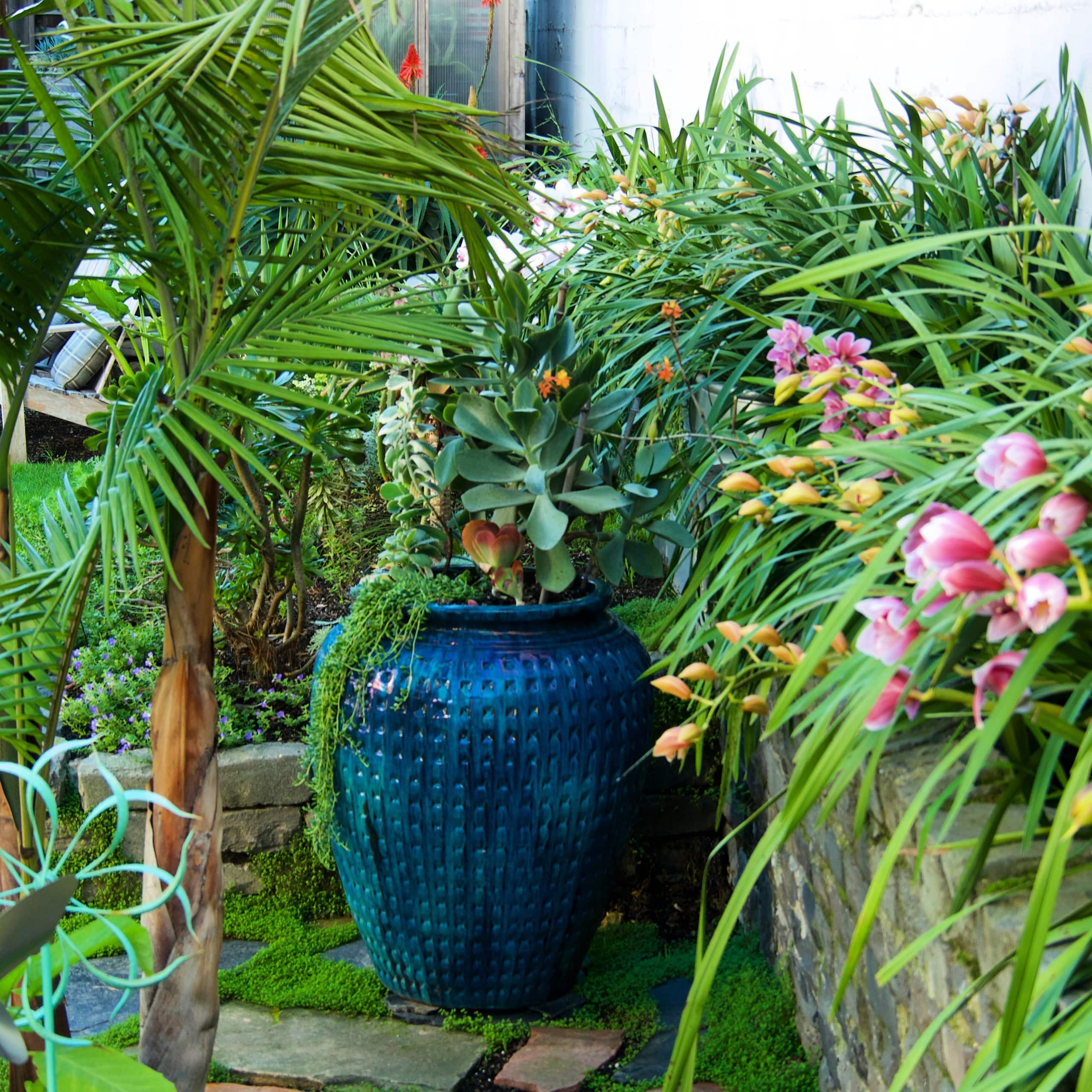 Home in San Francisco · ★4.97 · 1 bedroom · 1 bed · 1 bath - Image 10